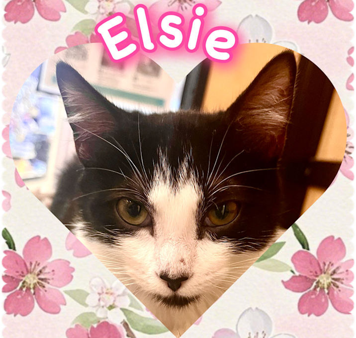 Photo of Elsie