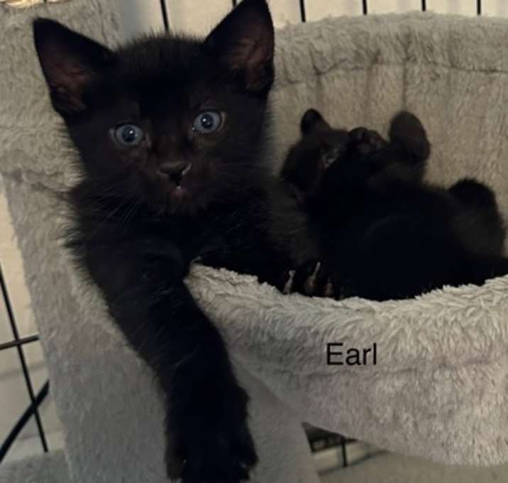 Photo of Earl