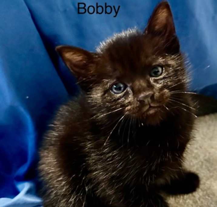 Photo of Bobby