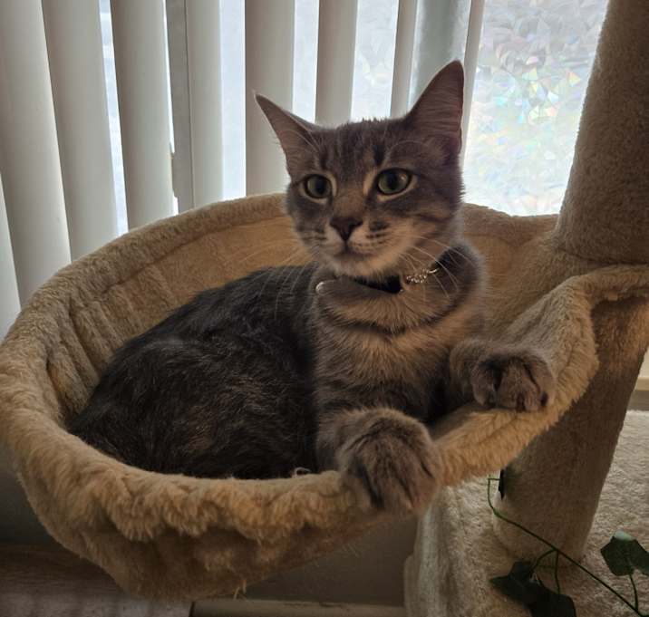 Photo of Lili