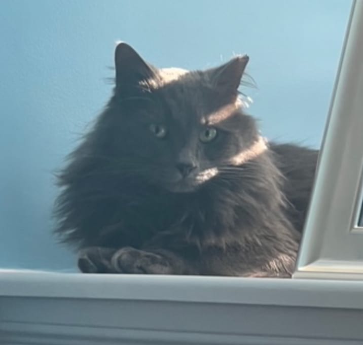 Photo of Blue Terrell