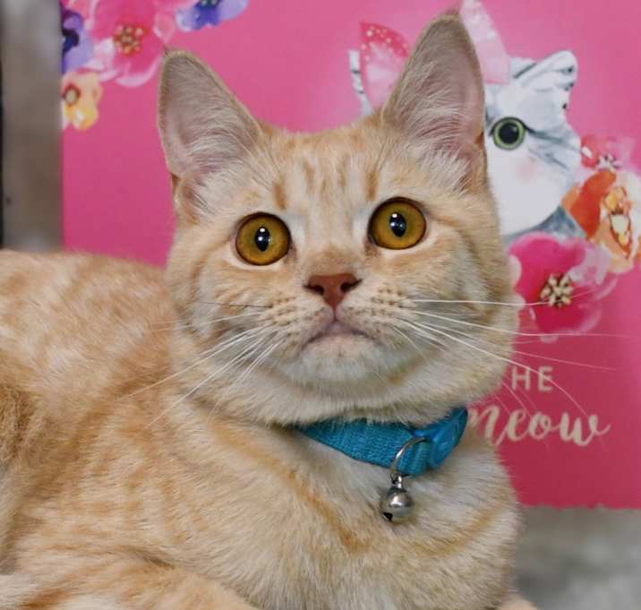 Photo of Fiesty