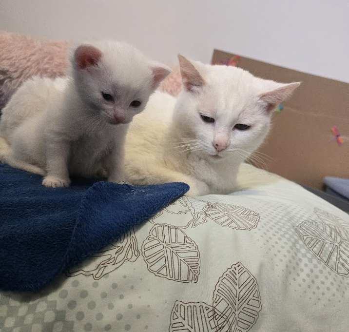 Photo of Maggie and Mia