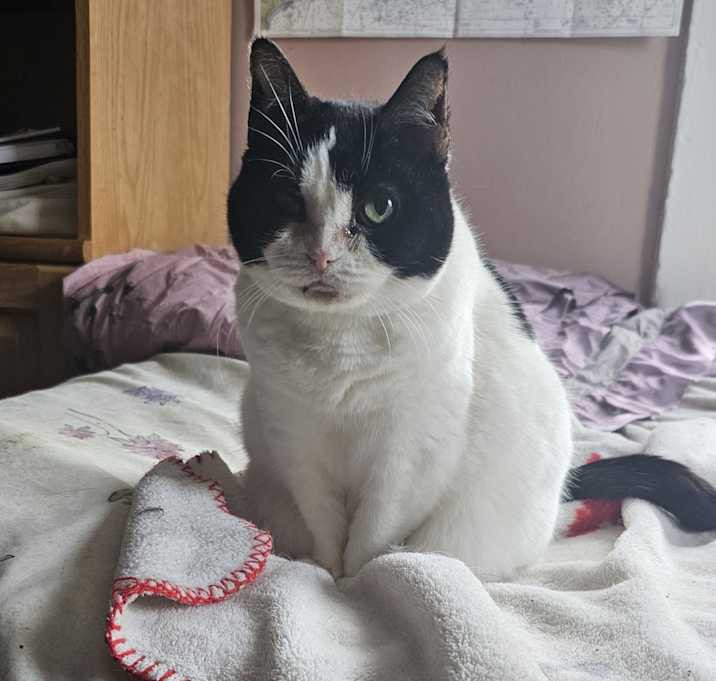 Photo of Daisy