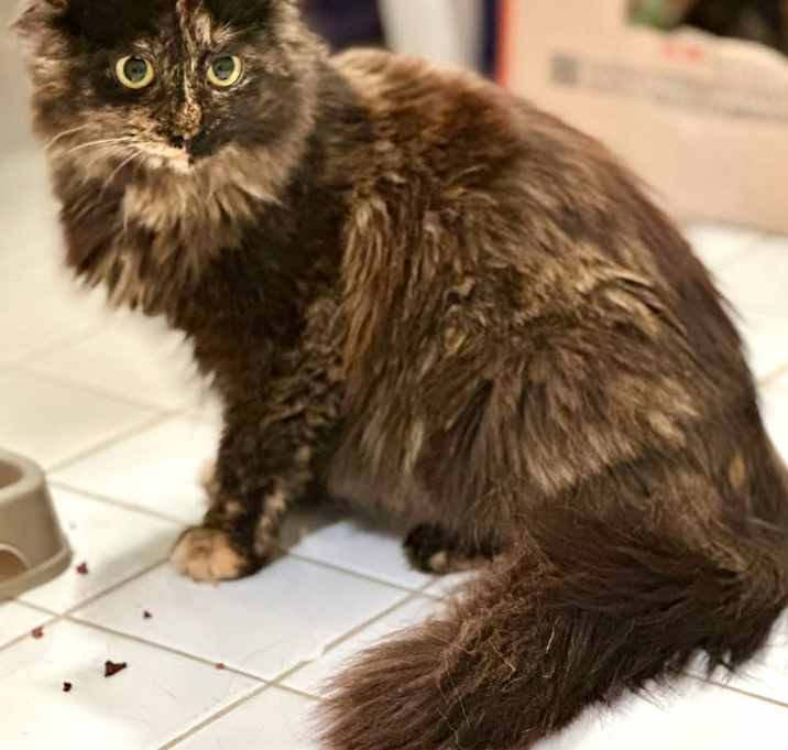 Photo of Molly