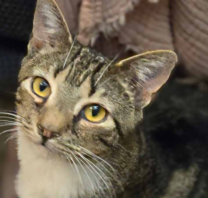 Photo of Pierre