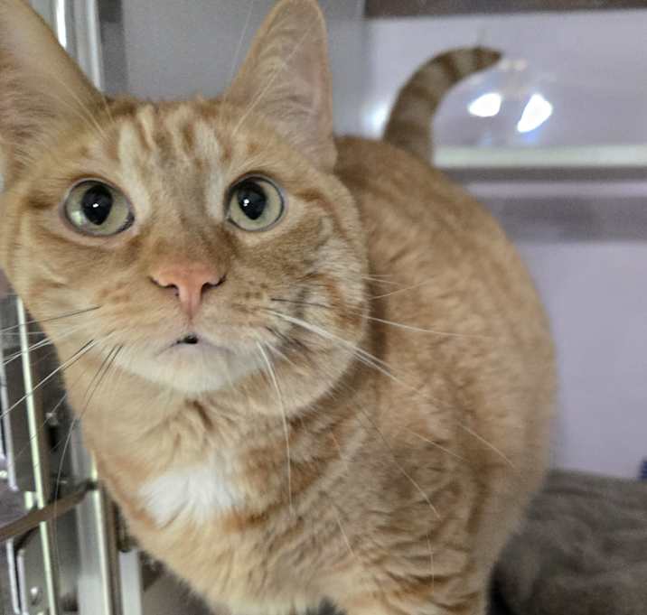 Photo of Mischief