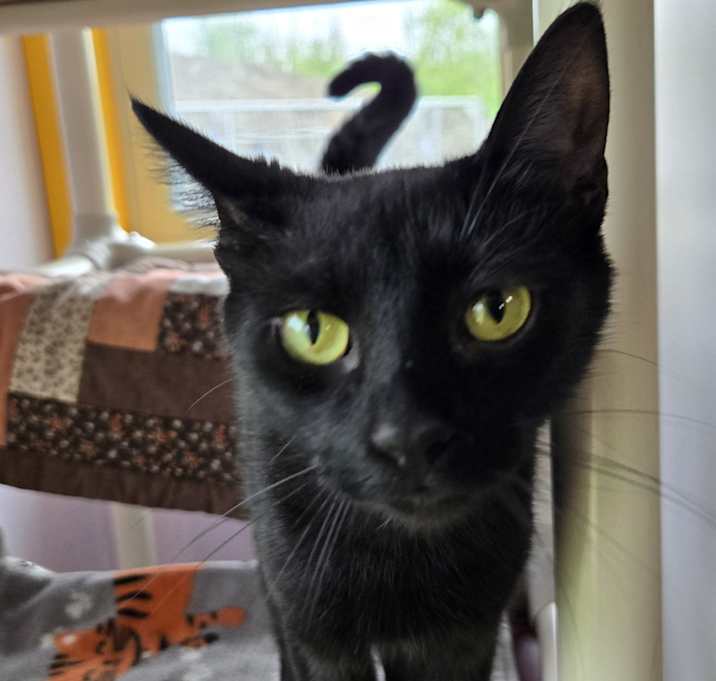 Photo of Eve
