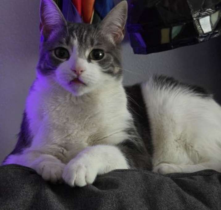 Photo of Jameson