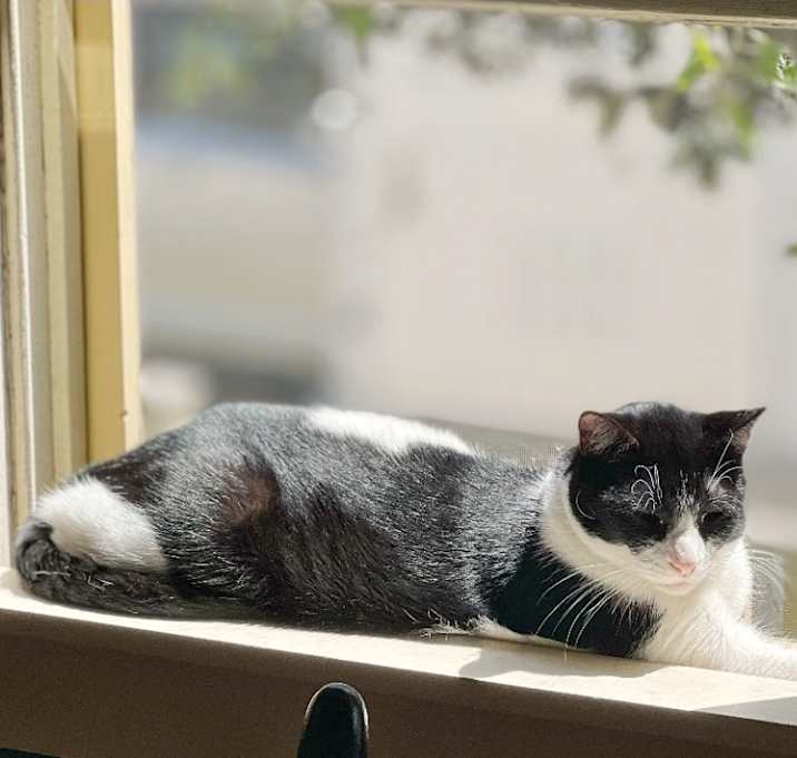 Photo of Mork