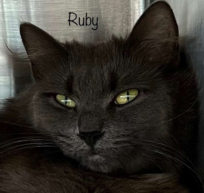 Photo of Ruby