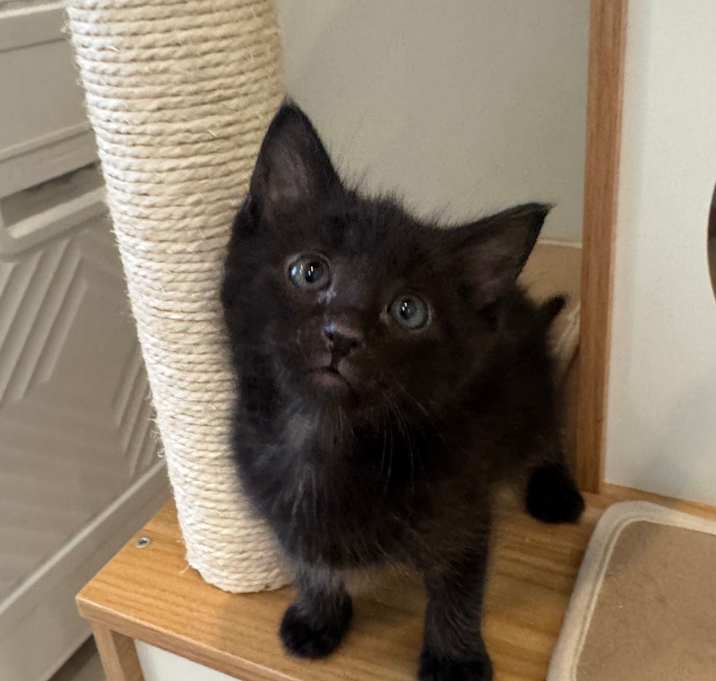 Photo of Braxton