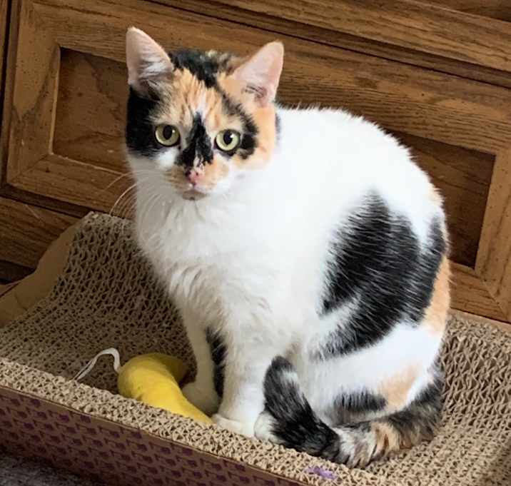 Photo of Sally (c2025)
