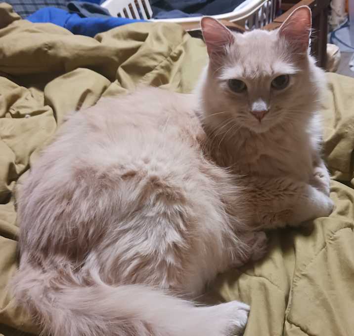 Photo of Sam
