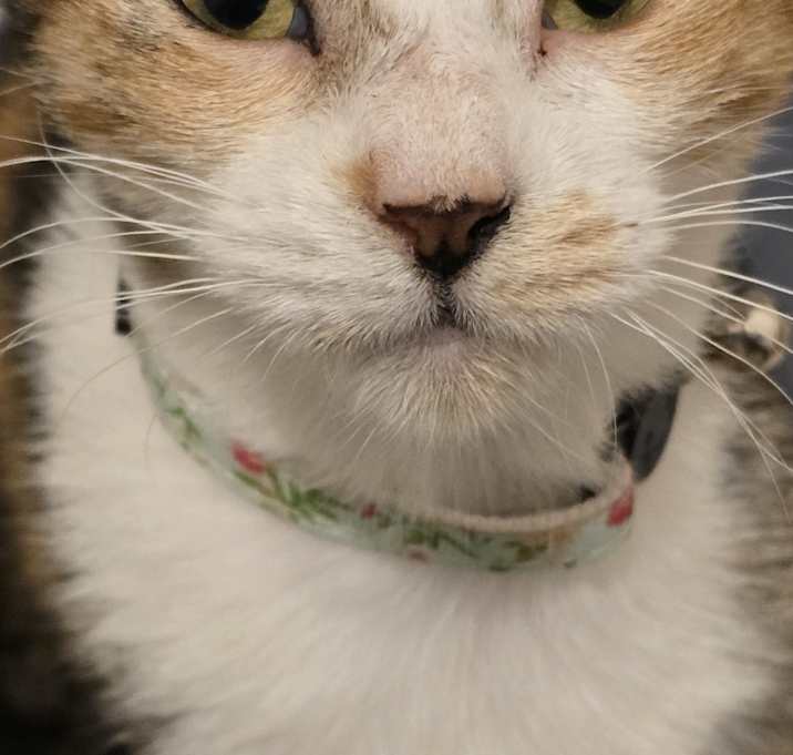 Photo of Rory