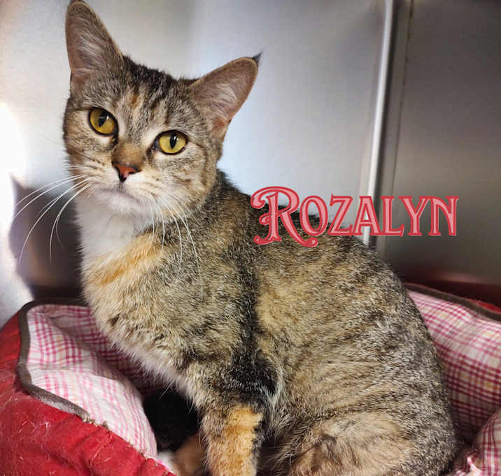 Photo of Rozalyn