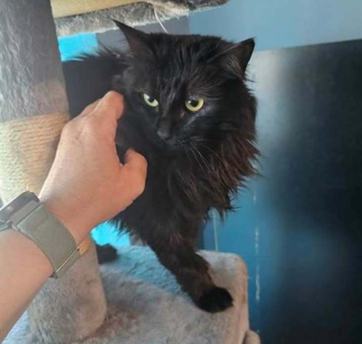 Photo of CLOUDY