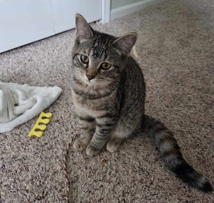 Photo of Ripley