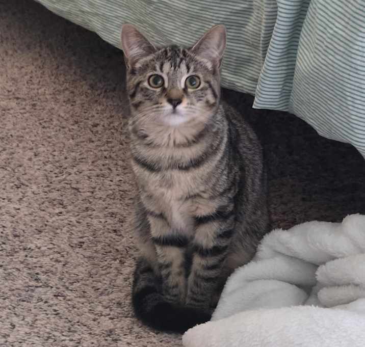 Photo of Peaches