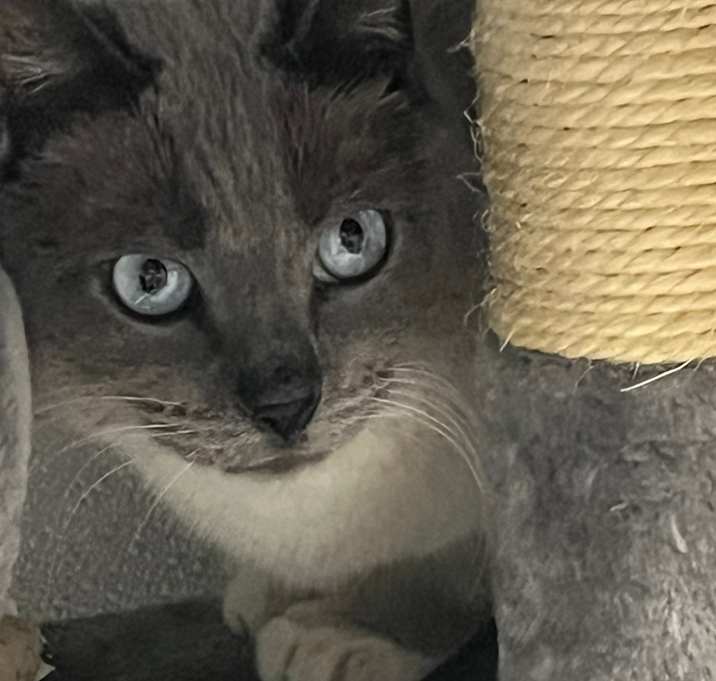Photo of Butter