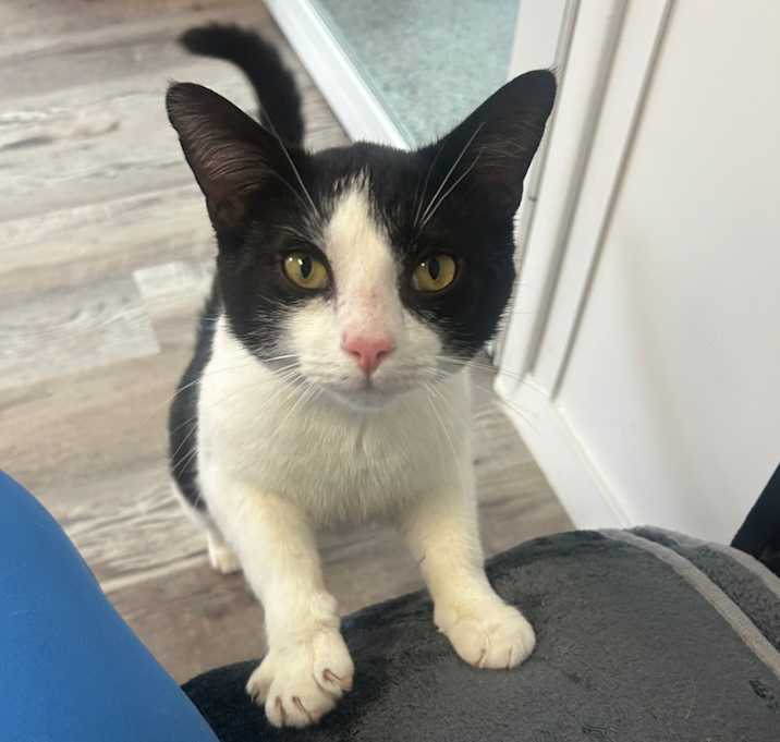 Photo of Kit