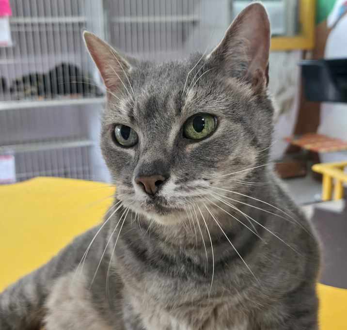 Photo of Bingo