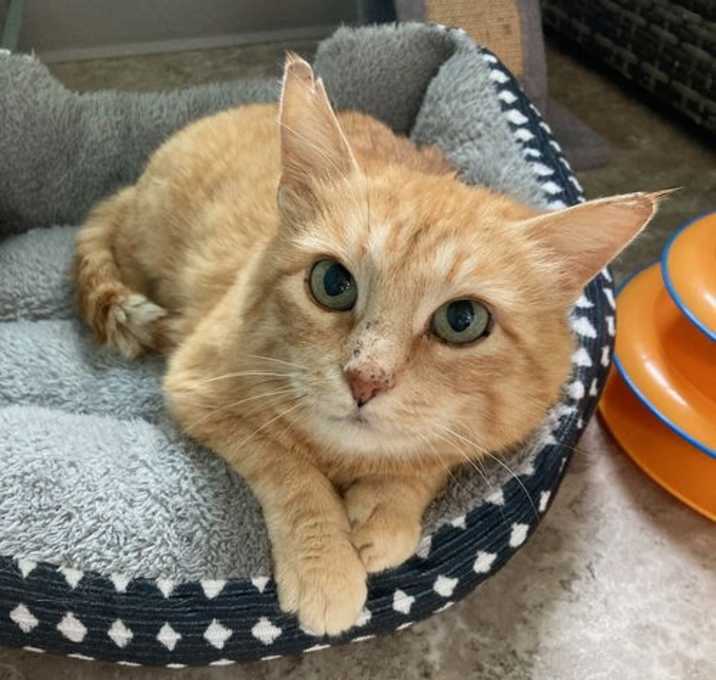 Photo of Oatmeal