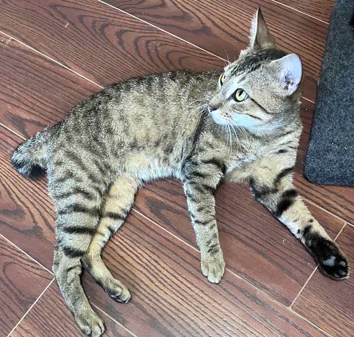 Photo of MAVERICK