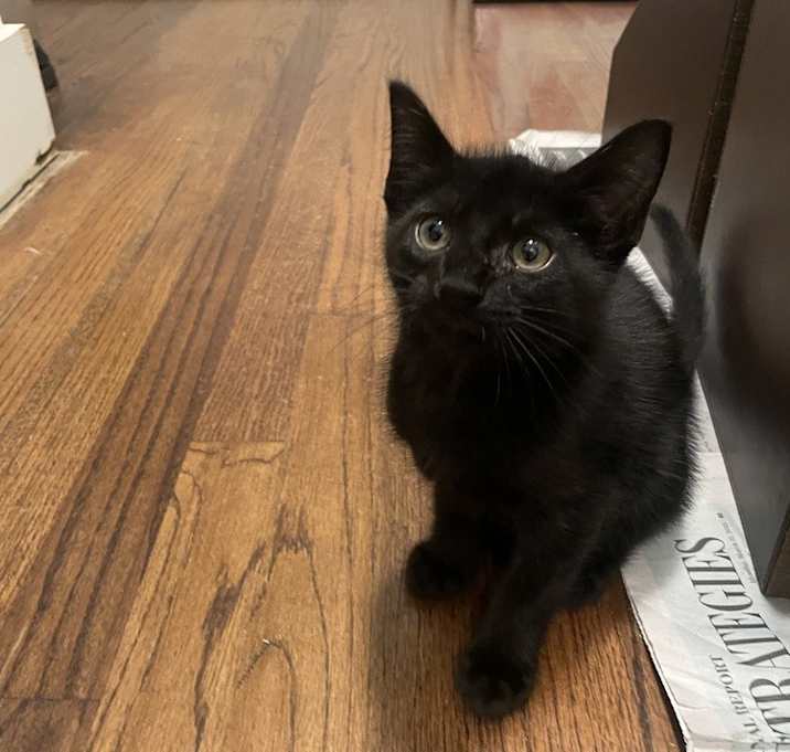 Photo of Vinegar