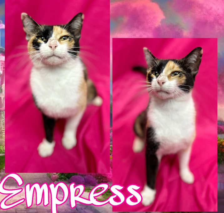 Photo of Empress