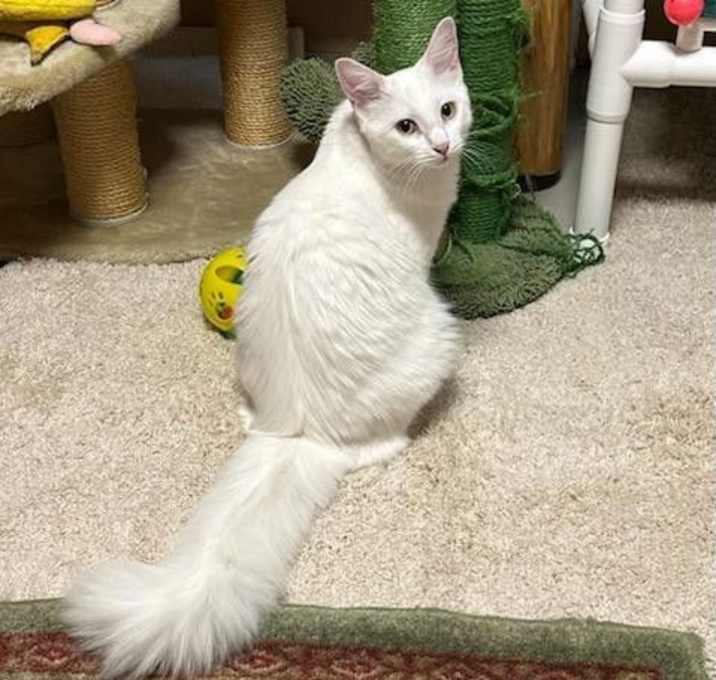 Photo of Mabel