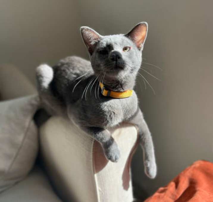 Photo of Bonsai