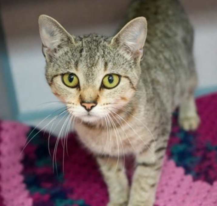 Photo of Luna