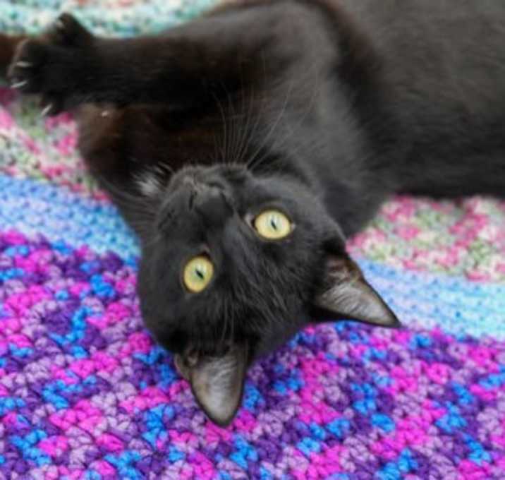 Photo of Bumble