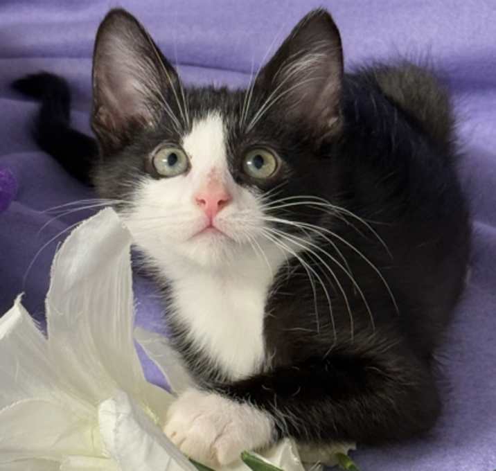 Photo of Manny