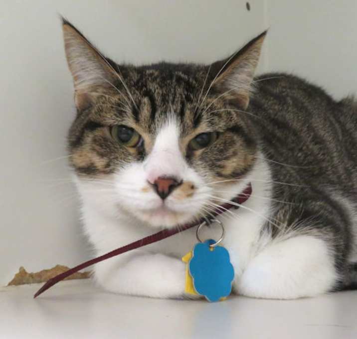 Photo of NERON