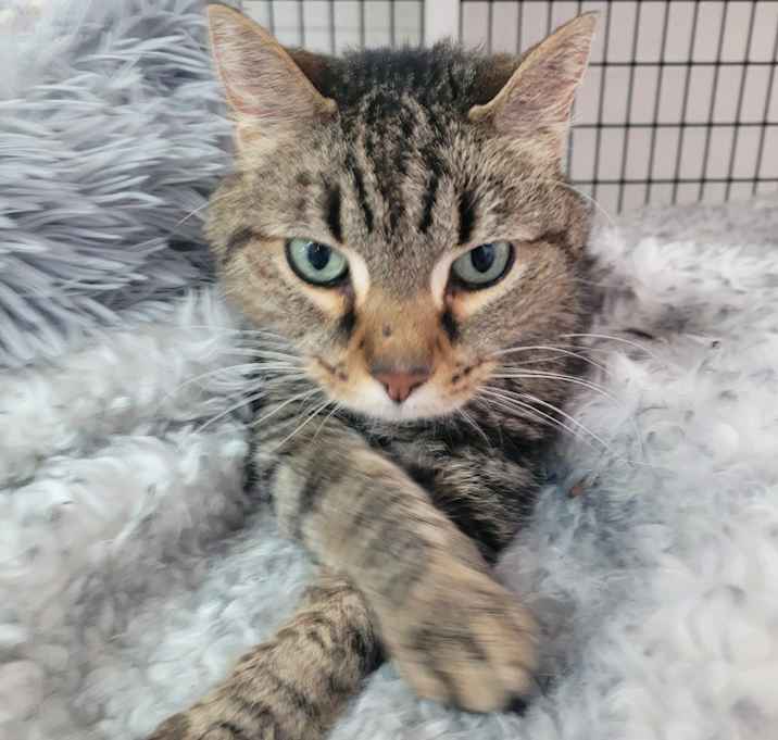 Photo of Louie