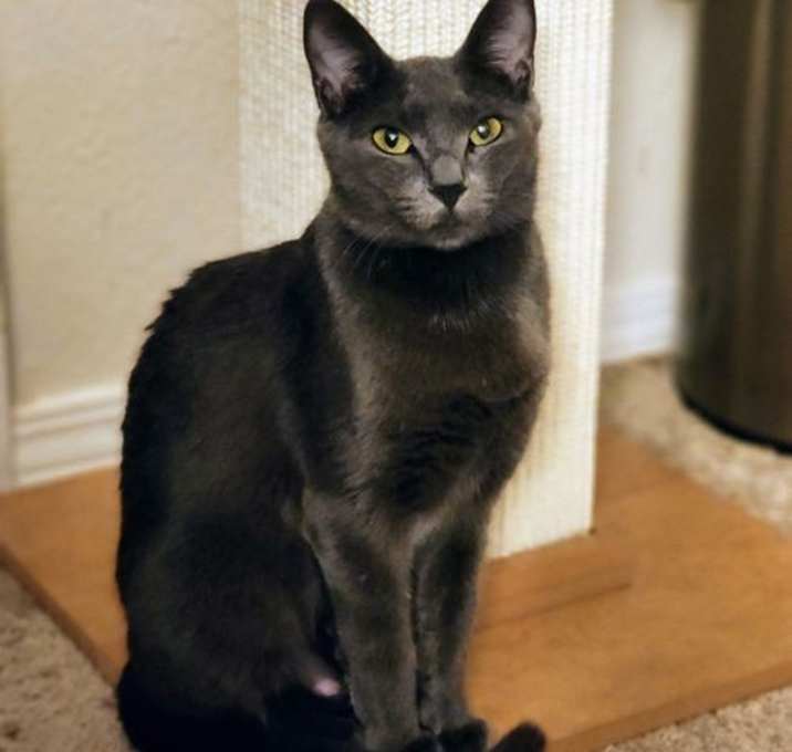 Photo of Bijou
