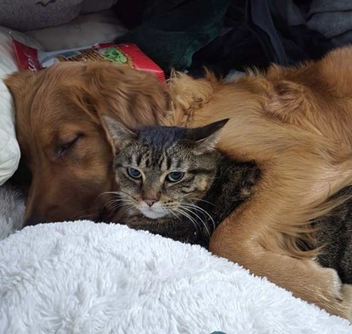 Photo of Precious