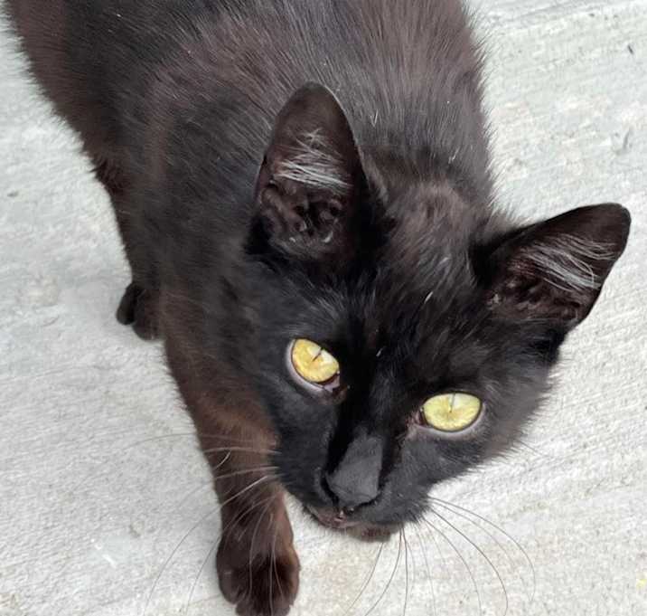 Photo of No name