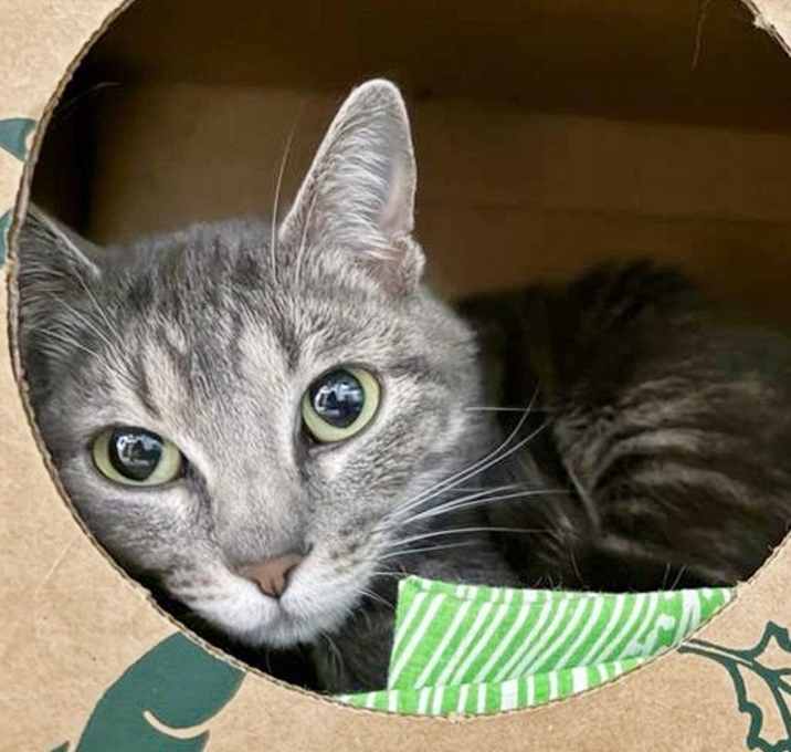Photo of KIKI