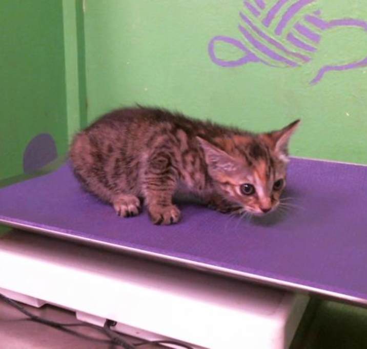 Photo of A2014704