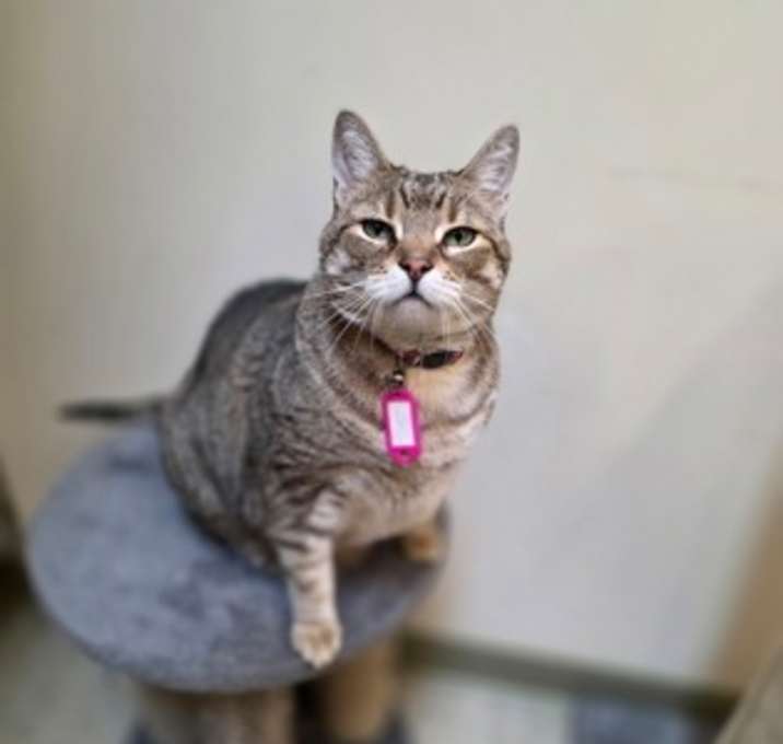 Photo of Sandy