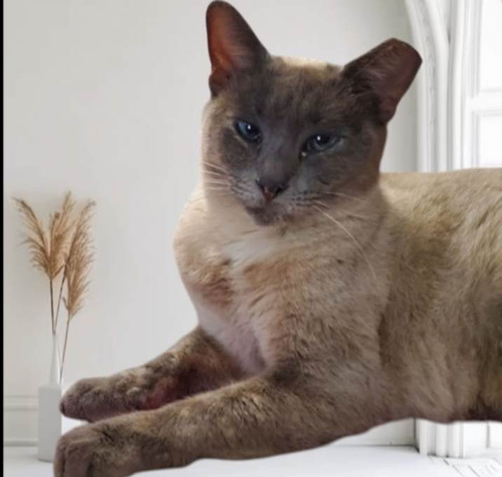 Photo of Marlo (Courtesy Post)