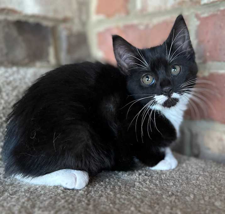 Photo of Everly