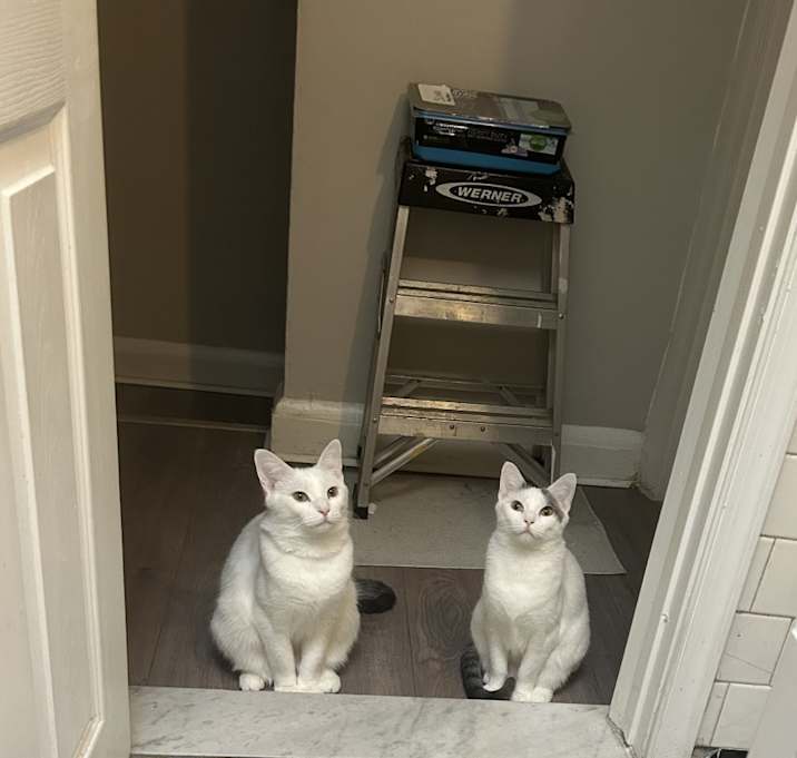 Photo of Suzie & Gus