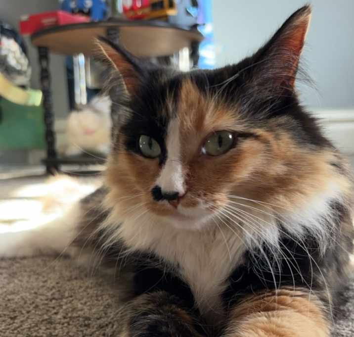 Photo of Snooki