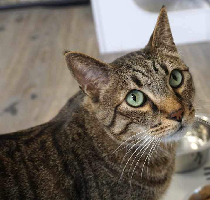 Photo of La Ziggy