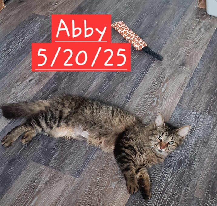 Photo of Abby