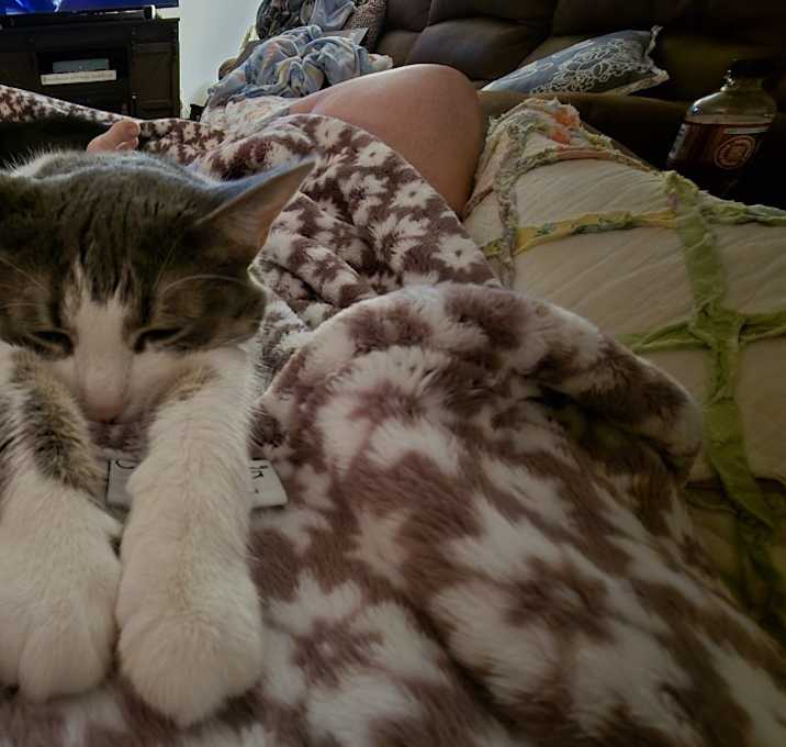 Photo of Ella